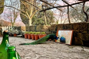 Northern Istria: Olive Oil Tasting with scenic landscape