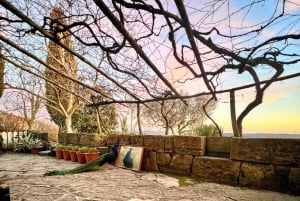 Northern Istria: Olive Oil Tasting with scenic landscape