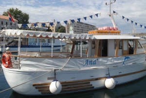 NP Brijuni Island Swimming & Dolphin Watching Sunset Cruise