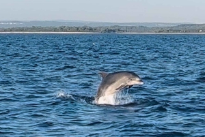 NP Brijuni Island Swimming & Dolphin Watching Sunset Cruise