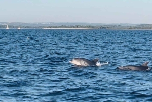 NP Brijuni Island Swimming & Dolphin Watching Sunset Cruise