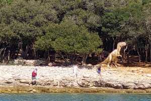 NP Brijuni Island Swimming & Dolphin Watching Sunset Cruise