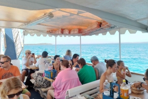 NP Brijuni Island Swimming & Dolphin Watching Sunset Cruise