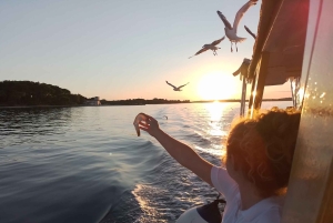NP Brijuni Island Swimming & Dolphin Watching Sunset Cruise