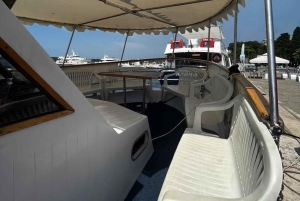 NP Brijuni Island Swimming & Dolphin Watching Sunset Cruise