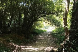 Omiš : croisière de 2 heures sur la rivière Cetina en bateau transparent et visite du Beer Garden
