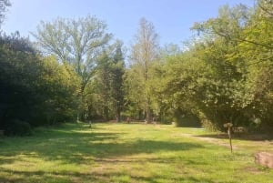 Omiš : croisière de 2 heures sur la rivière Cetina en bateau transparent et visite du Beer Garden