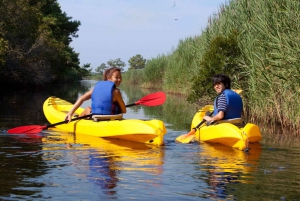 Omiš: River Kayaking and Sea Snorkeling Tour