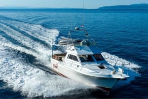 Opatija : Excursion en bateau et baignade sur l'île de Cres avec déjeuner