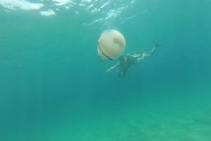 Opatija: Kajakeventyr med klipper og grotter