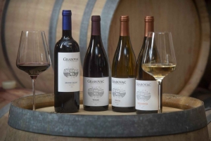 Open Panoramische bustour +Wandeltour met gids in 10 talen