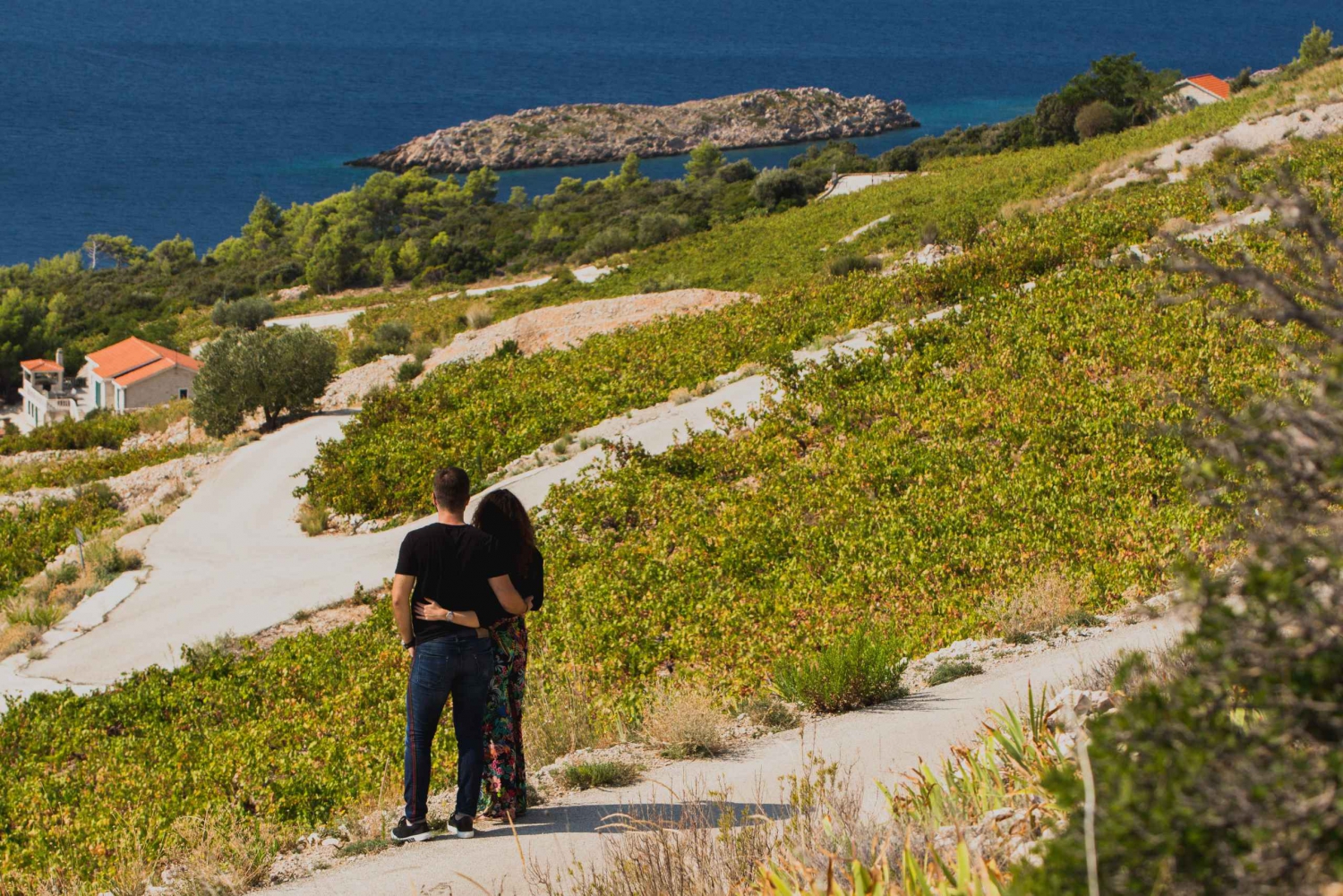 Original Wine Lover's Tour of Peljesac Peninsula
