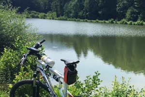 Oroslavje: tour en bici eléctrica con cata de vino y aperitivos