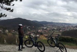 Oroslavje: tour en bici eléctrica con cata de vino y aperitivos