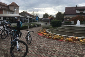 Oroslavje: tour en bici eléctrica con cata de vino y aperitivos