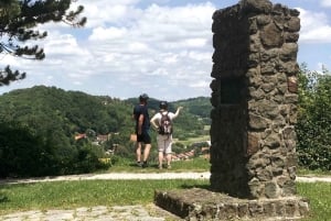 Oroslavje : visite en vélo électrique avec dégustation de vin et collations