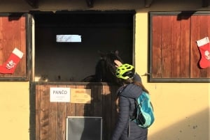 Oroslavje : visite en vélo électrique avec dégustation de vin et collations