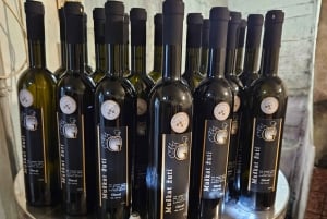 Oroslavje : visite en vélo électrique avec dégustation de vin et collations