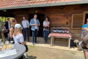 Oroslavje : visite en vélo électrique avec dégustation de vin et collations