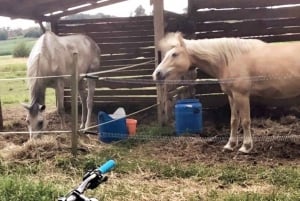 Oroslavje: Oroslavje i Stubičke Toplice biciklom