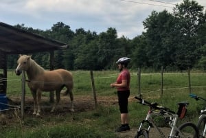 Oroslavje: Oroslavje i Stubičke Toplice biciklom