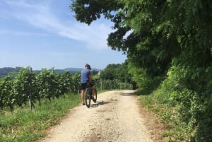 Oroslavje: Oroslavje i Stubičke Toplice biciklom