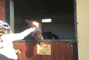 Oroslavje: Oroslavje i Stubičke Toplice biciklom