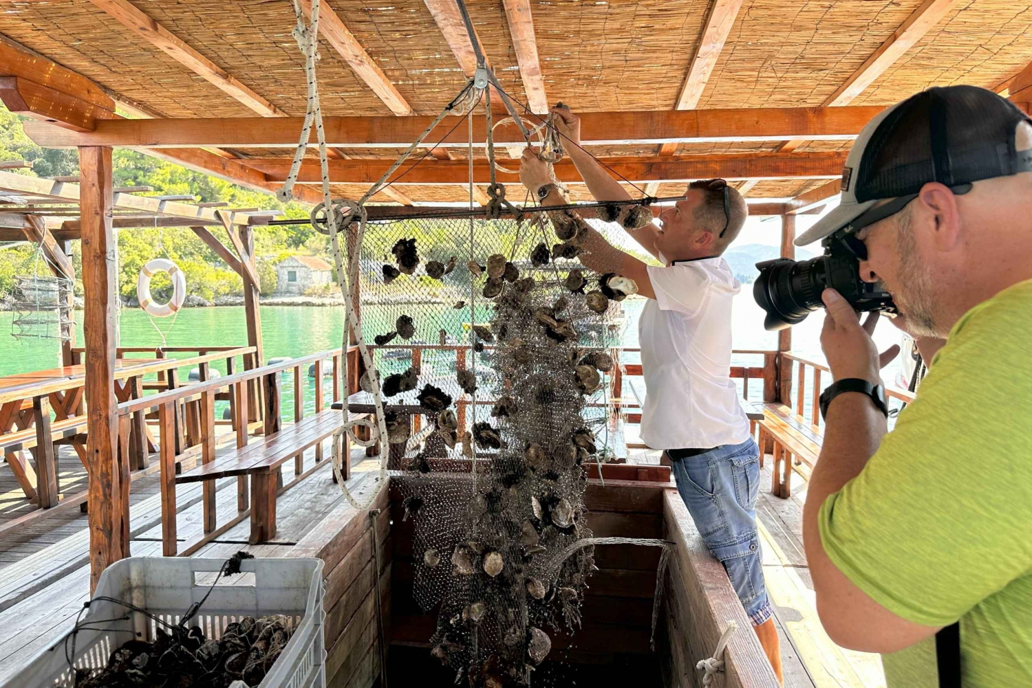 Oyster farm experience-private day trip from Dubrovnik