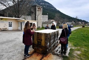 Tour delle ostriche e del vino da Dubrovnik (Piccolo gruppo)