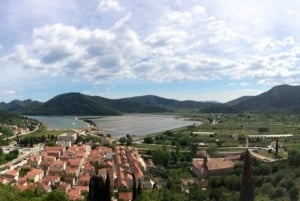 Oesters en wijn tour vanuit Dubrovnik (Kleine groep)