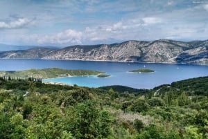 Excursión de Ostras y Vino desde Dubrovnik (Grupo reducido)