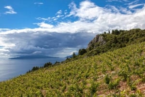 Wycieczka z ostrygami i winem z Dubrownika (mała grupa)