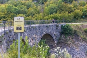 Parenzana: Guided Old Railway Bike Tour with Lunch