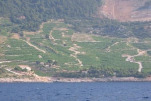 Depuis Dubrovnik : péninsule de Pelješac et île de Korčula
