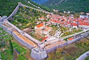 Pelješac Wine & Oyster Tasting Private Tour