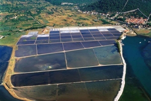 Tour privado con degustación de vinos y ostras en Pelješac