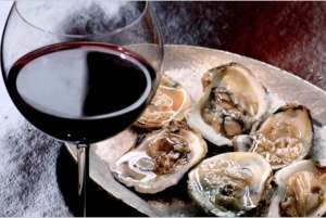 Tour privado con degustación de vinos y ostras en Pelješac