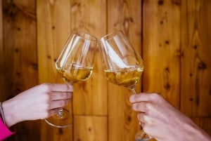 Wijnproeverij op Pelješac en bezoek aan een lokale wijnmakerij