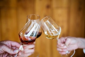 Wijnproeverij op Pelješac en bezoek aan een lokale wijnmakerij