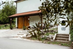 Wijnproeverij op Pelješac en bezoek aan een lokale wijnmakerij
