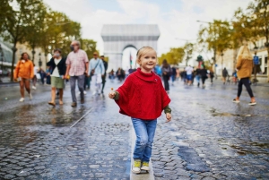 Petit Palais Paris Museum of Fine Arts Tour with Tickets