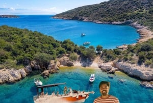 プラヴニク島：半日ボートツアー（共有）