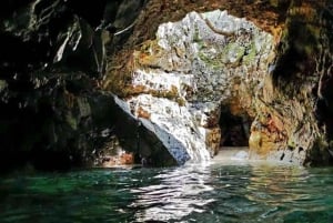 プラヴニク島：半日ボートツアー（共有）