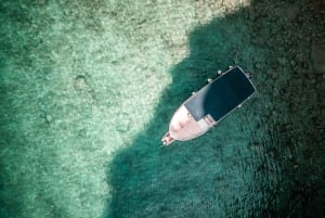 プラヴニク島：半日ボートツアー（共有）