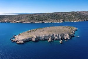 プラヴニク島：半日ボートツアー（共有）