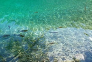 Dagtocht naar de Plitvicemeren vanuit Rijeka, eenvoudig en veilig