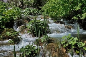 Dagtocht naar de Plitvicemeren vanuit Rijeka, eenvoudig en veilig