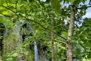 Plitvicer Seen: Geführter Rundgang mit Bootsfahrt