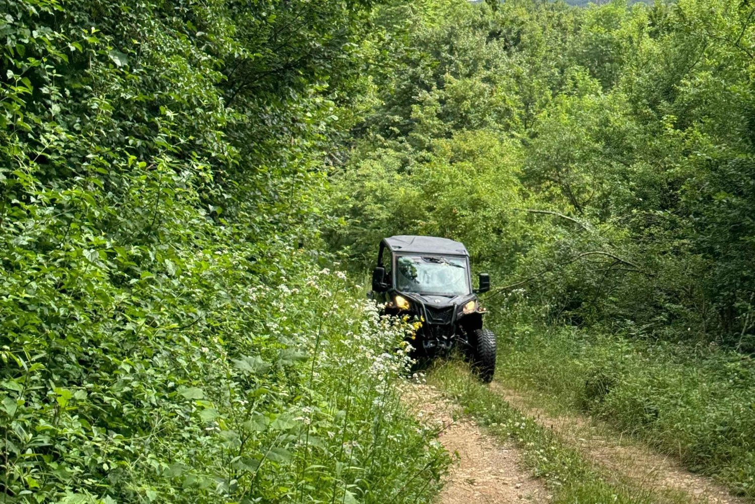 Plitvice Lakes National Park - 2hr Inspiration Buggy Tour