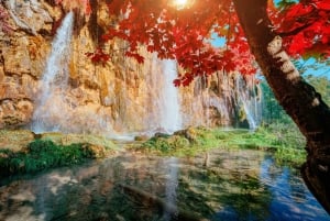 Nationaal park Plitvicemeren: dagtocht vanuit Omiš